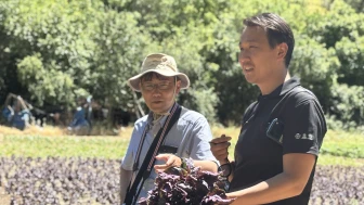 Japon Heyetten PECAT İncelemesi!