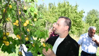 "Fiyatlar Üreticinin Emeğini Karşılamıyor, TMO Acilen Devreye Girmeli!"