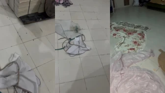 Vatandaş Görüntüledi: Fırında Böcek Var İddiası..!