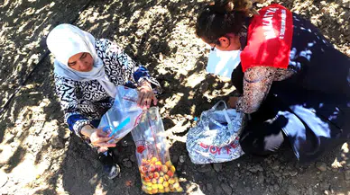 Malatya’da Sıkı Pestisit Denetimi!