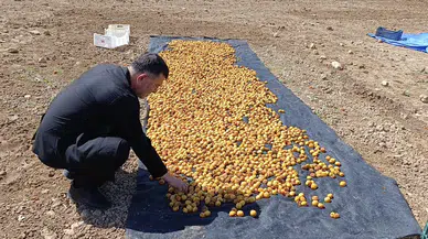 Milletvekili Ağbaba'dan Sel Bölgesi Kocaözü'ne Ziyaret!