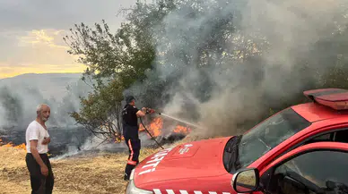 Malatya'da Besi Otu Tarlasını Saran Yangın Halkı Tedirgin Etti