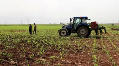 Tarım Ürünleri Üretici Fiyat Endeksi Yüzde 18,81 Oranında Yükseldi