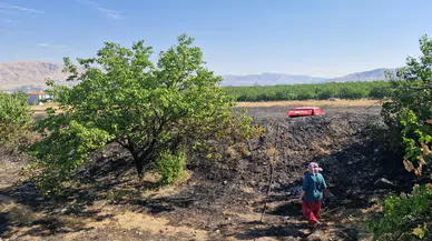 Malatya Kale'de Korkutan Yangın: Meyve Ağaçları Zarar Gördü