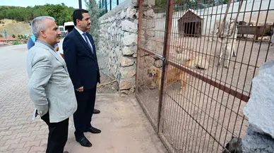 Başkan Taşkın, Hayvan Barınağında İncelemelerde Bulundu