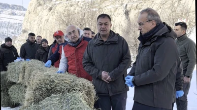 Vali Seddar Yavuz Kış Şartlarında Yaban Hayvanları İçin Sahadayız