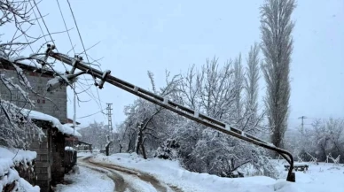 Malatya’da Kar ve Tipi Etkili: Konteyner Kent Yolunda Direk Devrildi
