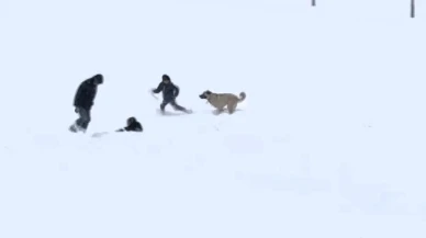 Malatya’da Kar Sevinci: Çocuklar ve Köpeğin Oyunu Gülümsetti