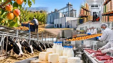 Tarım ve Gıda Sektörüne 1,2 Milyar TL Hibe Desteği
