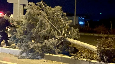 Malatya Fırtına ve Sel Kabusu: Ağaçlar Devrildi, 1 Yaralı