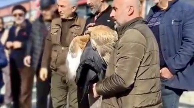 Malatya’da Yaralı Kızıl Şahin Kurtarıldı: Montuna Sarıp Isıttı