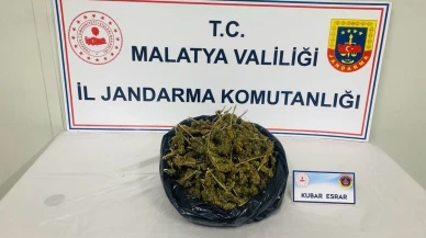 Malatya’da Jandarmadan Uyuşturucu Operasyonu: 1 Kişi Gözaltına Alındı