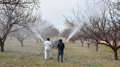 Malatya Kayısı Üreticilerine Kritik İlaçlama Uyarısı