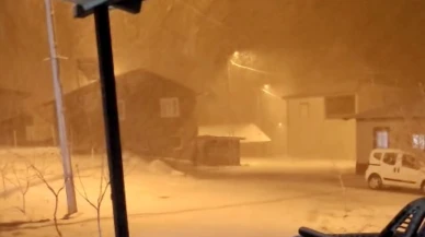 Yağmur yerini kar yağışına bıraktı: Kayısı bu yılda mı yok?