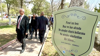 Arguvan’da ağaçlar türkü açtı: Belediye’den kültürel mirasa anlamlı dokunuş!