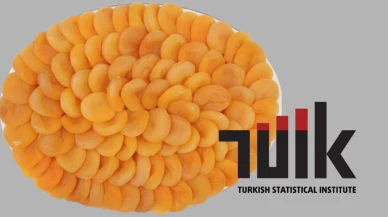 Türkiye’nin üretim gücü verilerle tescillendi: Kayısıda yüzde 594,9’luk rekor yeterlilik!