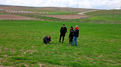 Yazıhan’da buğday üreticilerine teknik destek: Boyaca Mahallesi’nde arazi kontrolleri yapıldı!