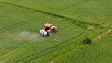 Çiftçilere müjde: 10,6 milyar liralık tarımsal destek ödemesi bugün hesaplara yatıyor!