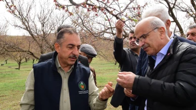Başkan Sami Er Dolu Bölgesinde: Hasar Envanteri İlgili Kurumlara İletilecek
