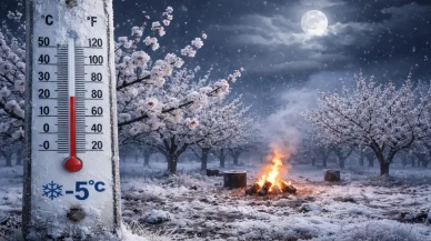 Malatya’da kayısı için kritik gece: Zirai don alarmı verildi!