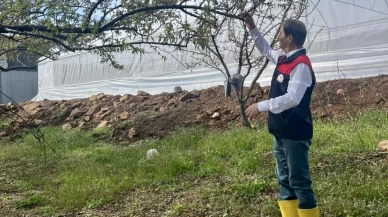 İl Tarım Ekipleri Hasar Tespiti İçin Bahçelere İndi!