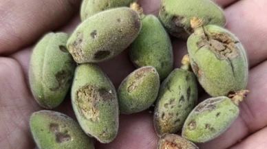 Malatya'da Dolu Vurdu, Vali Seddar Yavuz Hasar Tespiti İçin Talimatı Verdi