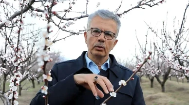 Malatya’da kayısıda don riski: Prof. Dr. İbrahim Gezer’den uyarılar