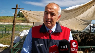 Malatya’da Kurbanlık Hazırlıkları Tamam: 45 Bin Hayvan Satışa Hazır