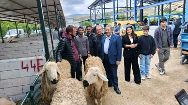 Darende Belediye Başkanı Bozkurt Canlı Hayvan Pazarını Ziyaret Etti