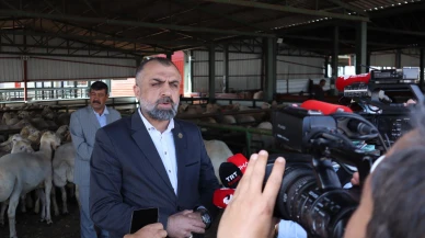 Malatya’da Kurbanlık Fiyatları Belli Oldu
