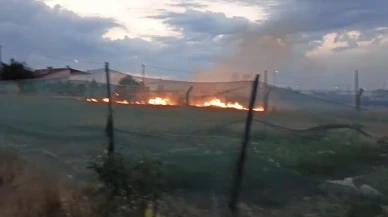 Otların Alev Almasına Ramak Kala Orman Yangını Önlendi!