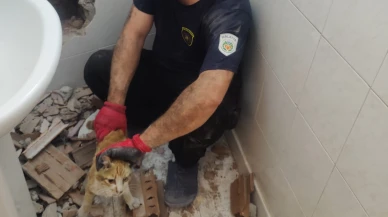 Malatya’da Dar Boşluğa Sıkışan Kedi Duvar Kırılarak Kurtarıldı