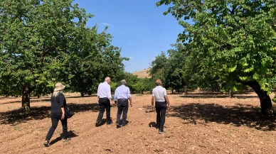 İl Müdürü Akar Kayısı Bahçelerinde: Hasat Süreci Sahada İncelendi