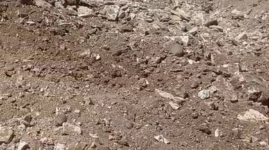 TOKİ İnşaatı Kazısında İnsan Kemikleri Bulundu...!