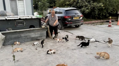 Her Gün Onlarca Sokak Kedisini Kendi Elleriyle Besliyor