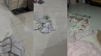 Vatandaş Görüntüledi: Fırında Böcek Var İddiası..!