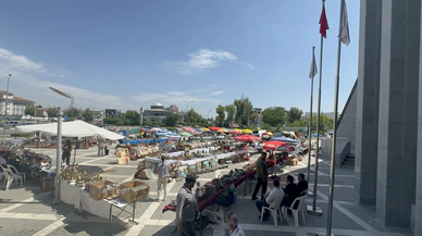 Malatya'da Tarihin Derinliklerinden Yükselen İzler Keşfedildi