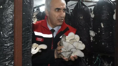 Malatya'da Mantar Üretiminde İvme Kazanılıyor, Ürünler Komşu İllere Yollanıyor