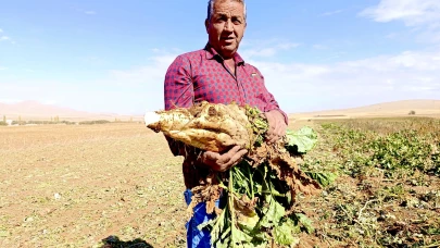 Darende’de Çiftçiler Artan Mazot ve Gübre Giderlerinden Şikayetçi