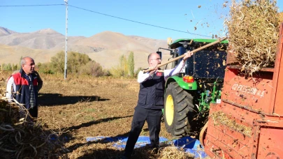Kuru Fasulye Hasadı Doğanşehir’de Bereketle Başladı