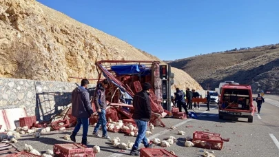 Tavuk Yüklü Kamyon Devrildi Yüzlerce Tavuk Telef Oldu