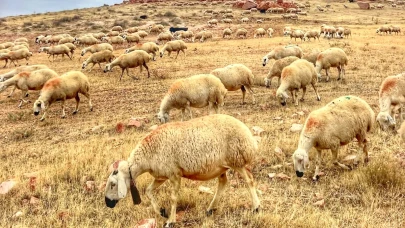 Halk Elinde Islah Projelerine 2,7 Milyar TL Destek