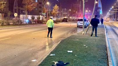 Malatya Çevreyolu’nda Köpek Kazası: Refüje Çıktı, Sürücü Yaralı