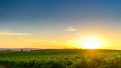 IPARD III’te LEADER Yaklaşımına 2,2 Milyar TL’lik Hibe Desteği