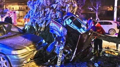 Malatya'da Zincirleme Kaza Kamerada: Refüje Çıktı, Ağacı Devirdi