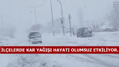 Malatya’da Kar Raporu: Merkez Sakin, Yüksekler Beyaz, Yollar Açık mı?