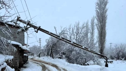 Malatya’da Kar ve Tipi Etkili: Konteyner Kent Yolunda Direk Devrildi