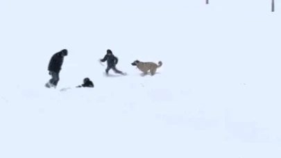 Malatya’da Kar Sevinci: Çocuklar ve Köpeğin Oyunu Gülümsetti