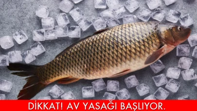 Malatya’da iç sularda av yasağı başlıyor: Valilikten kritik uyarı ve cezai işlem duyurusu!