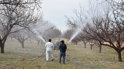 Malatya Kayısı Üreticilerine Kritik İlaçlama Uyarısı